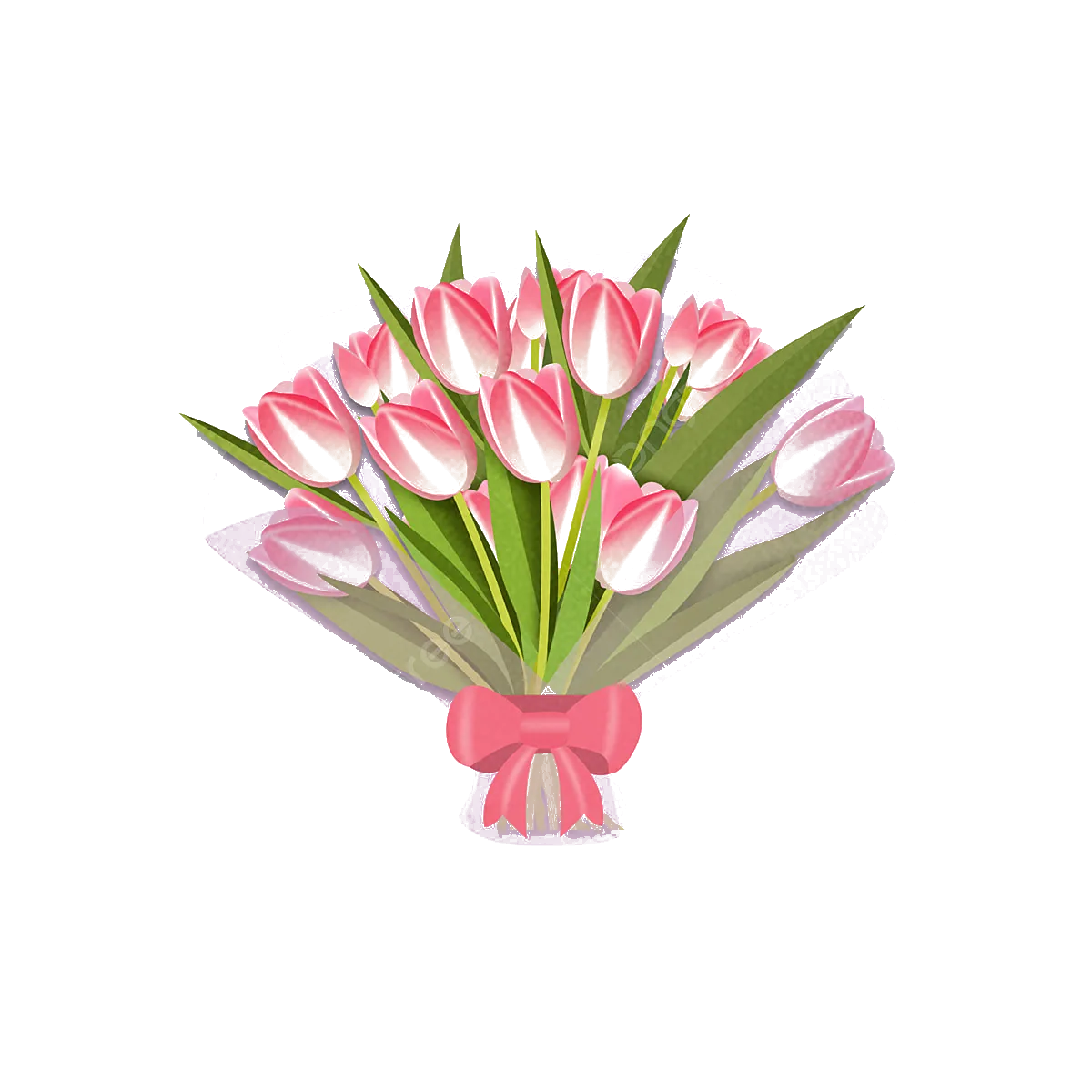 Bó hoa tulip hồng buộc nơ